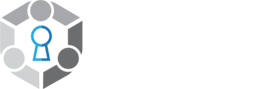 The Synergy Partners Logo